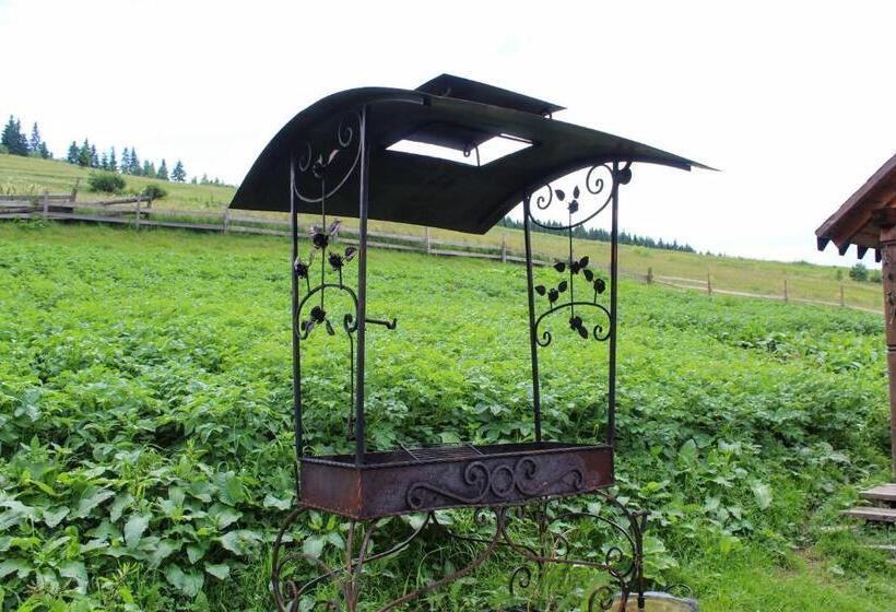 Pensió у василини