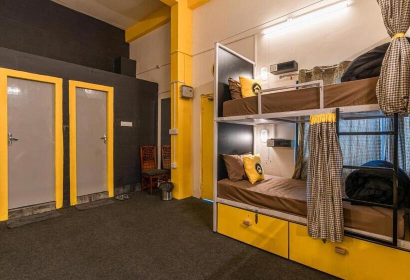 The Hosteller Kasar Devi