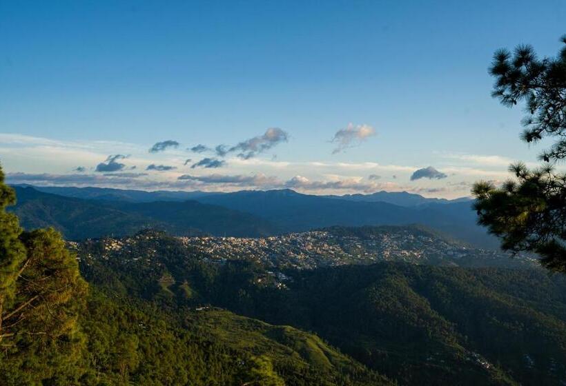 The Hosteller Kasar Devi