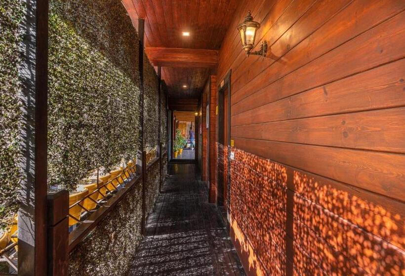 The Hosteller Kasar Devi