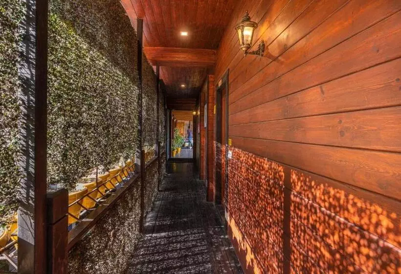 The Hosteller Kasar Devi