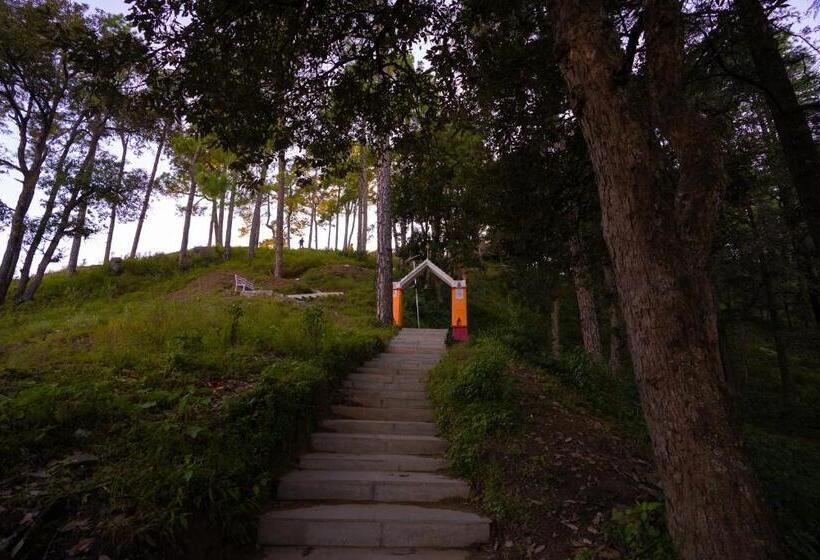 The Hosteller Kasar Devi