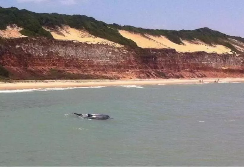 Sonia Flats Pipa S Bay   Flat 211