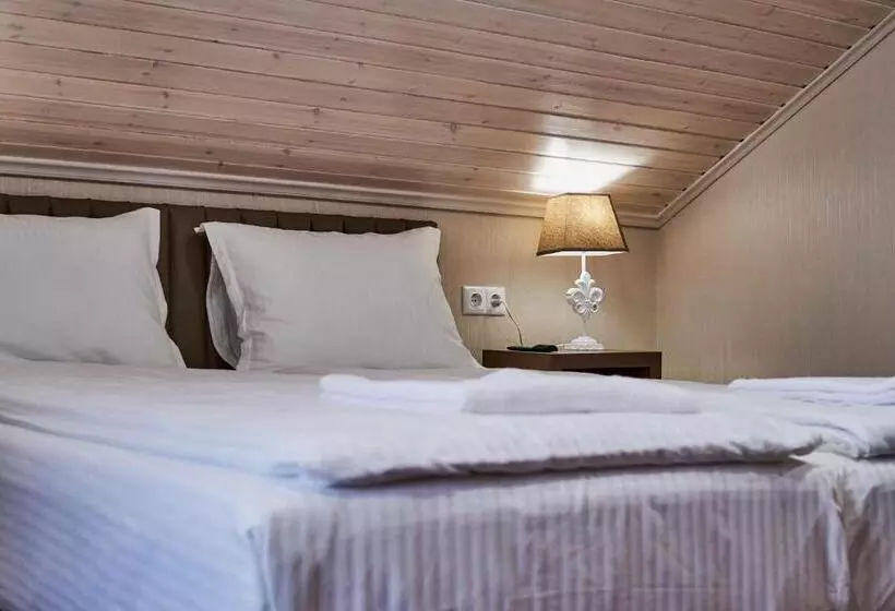 ホテル хотел паризи