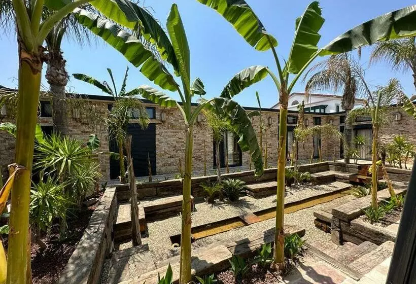 Hotelli Alaçatı Aura Plus