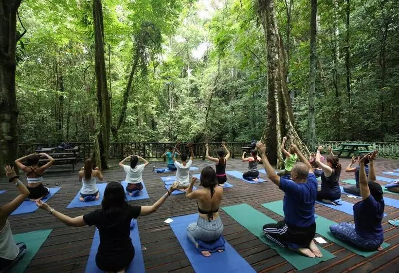 Mulu Marriott Resort