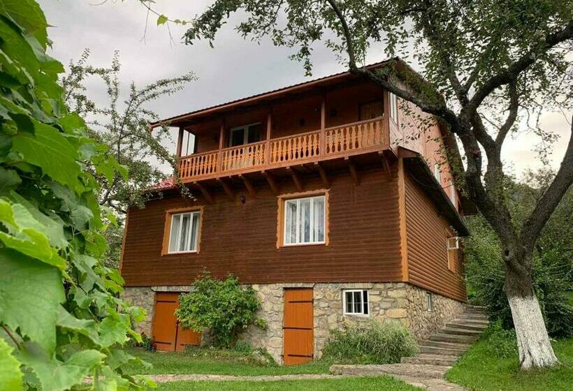 Пансион приватна садиба яблуневий сад 1