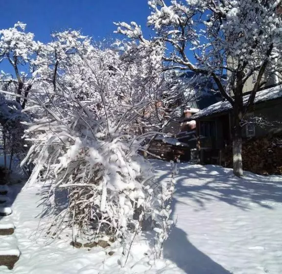 Majatalo приватна садиба яблуневий сад 1
