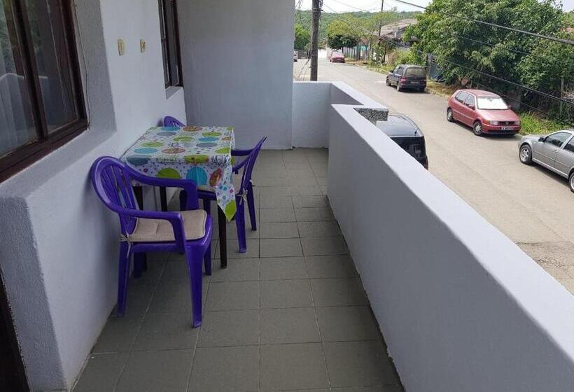 بنسيون цвета