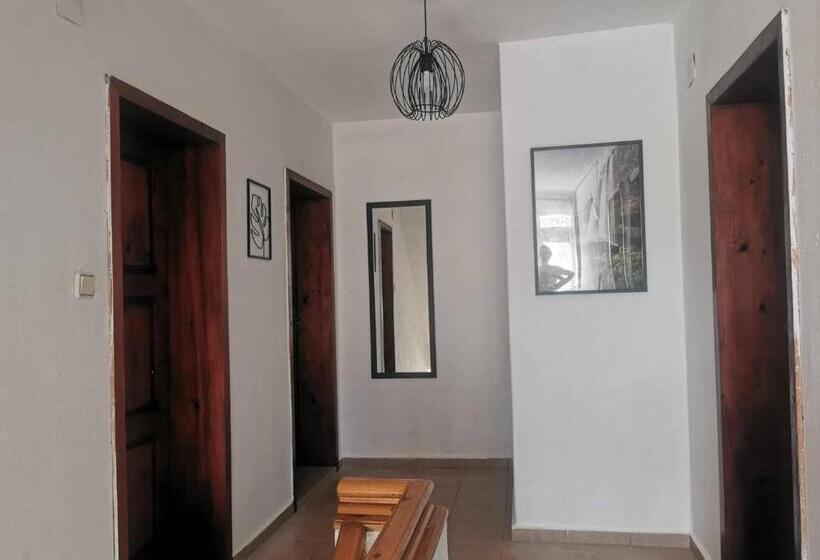 بنسيون цвета