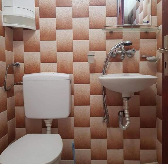 بنسيون цвета