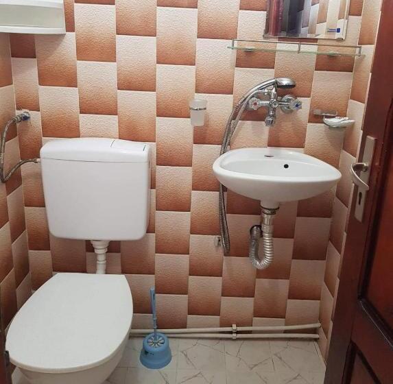 بنسيون цвета