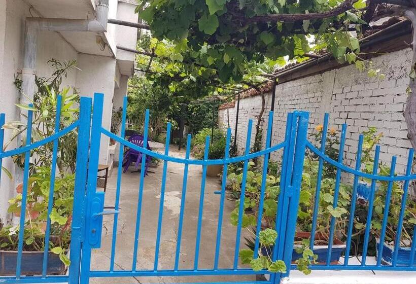 بنسيون цвета