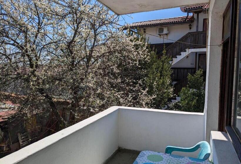 بنسيون цвета