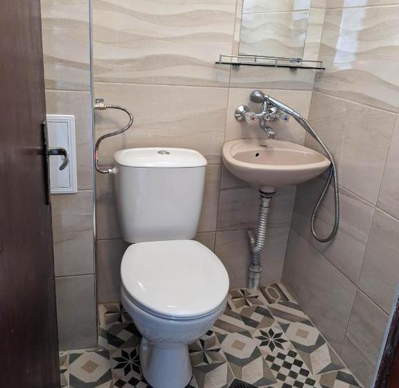 بنسيون цвета