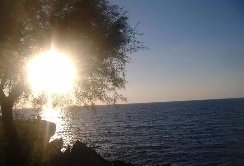 Theresa Hotel At Karpaz Peninsula