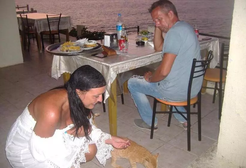 Theresa Hotel At Karpaz Peninsula