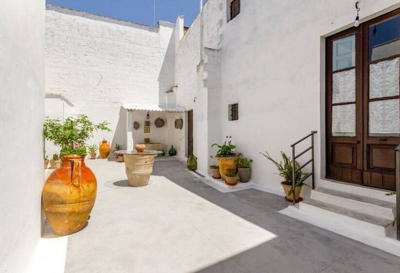 Domus Perrone Liberty Flat