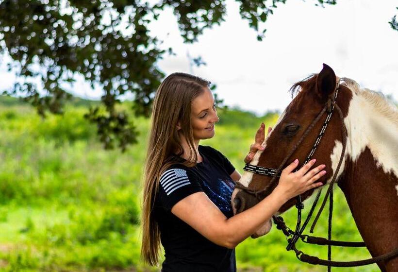 فندق Rinconcito Lodge