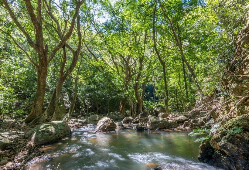 فندق Rinconcito Lodge