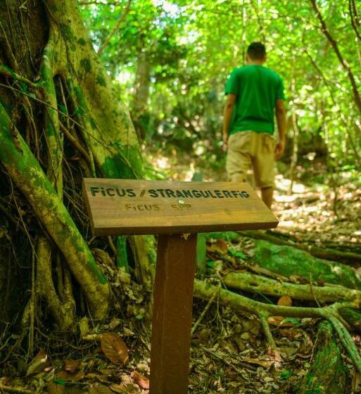 فندق Rinconcito Lodge