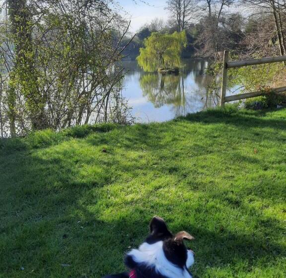 مبيت وإفطار Langdale Lodge