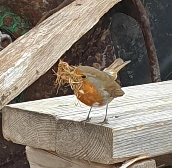 مبيت وإفطار Langdale Lodge