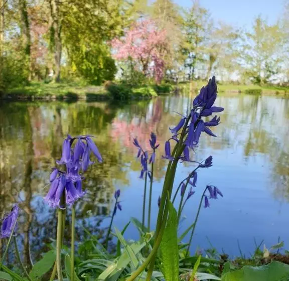 Aamiaismajoitus (B&B) Langdale Lodge