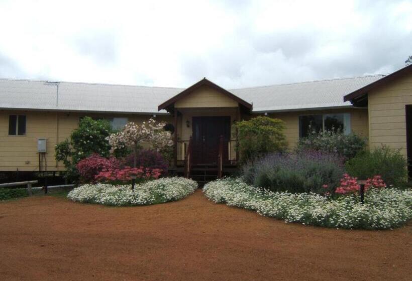 住宿加早餐  Shambhala Guest House