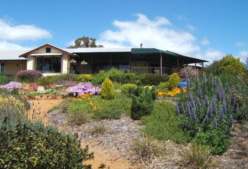 住宿加早餐  Shambhala Guest House