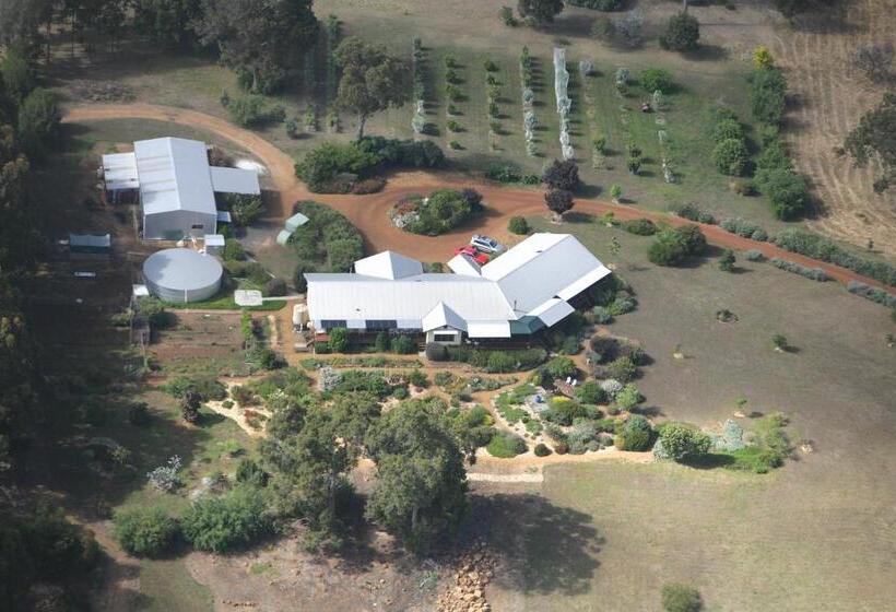 住宿加早餐  Shambhala Guest House