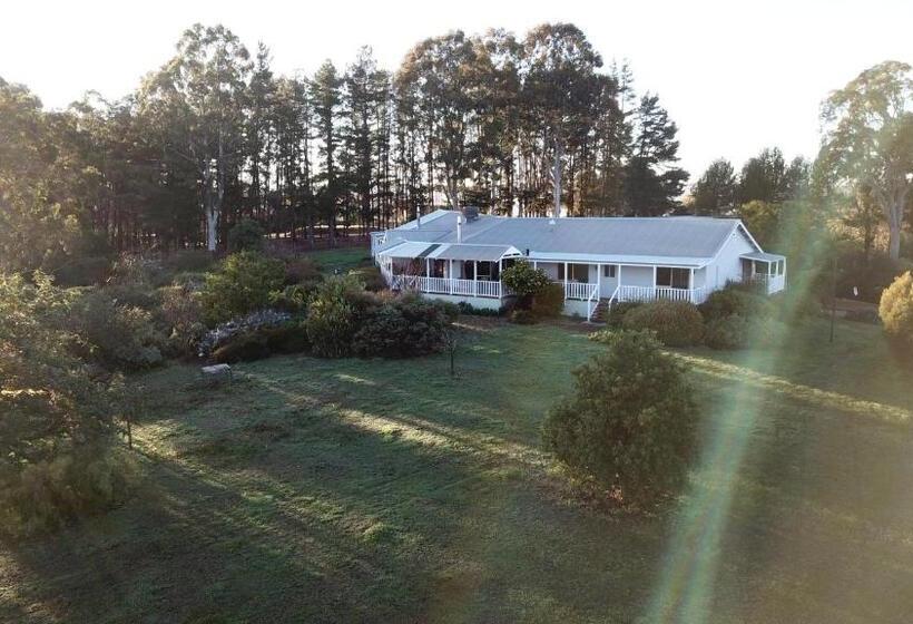 住宿加早餐  Shambhala Guest House