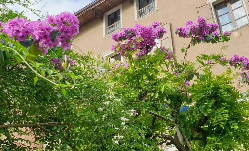 Hotelli Albergo Bellavista