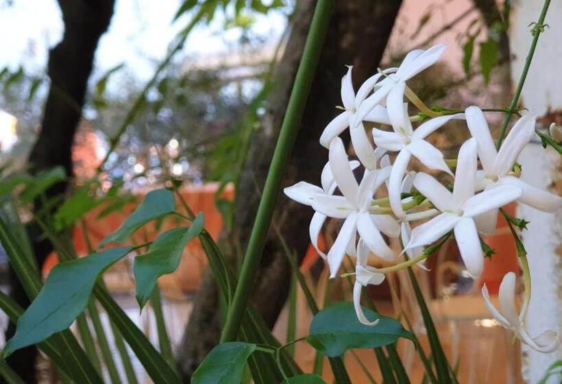 فندق Albergo Bellavista