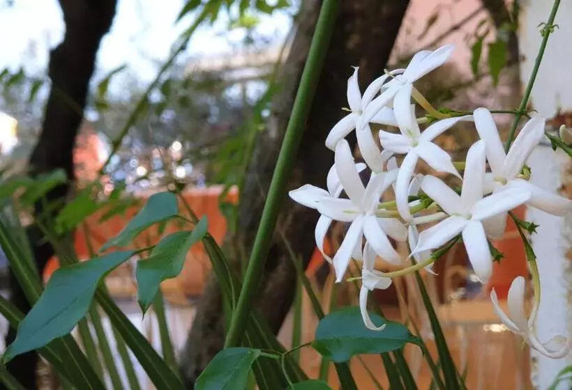 Hotelli Albergo Bellavista