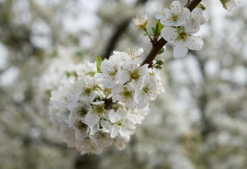 فندق Casas Do Rio Sado Sado River Country Retreat