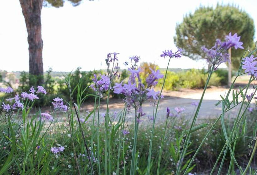 فندق Casas Do Rio Sado Sado River Country Retreat