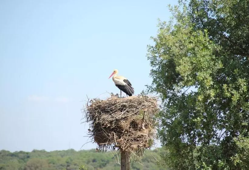 ホテル Casas Do Rio Sado   Sado River Country Retreat