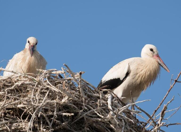 فندق Casas Do Rio Sado Sado River Country Retreat