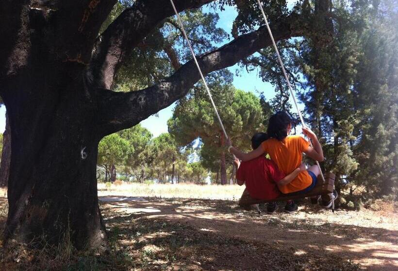 فندق Casas Do Rio Sado Sado River Country Retreat