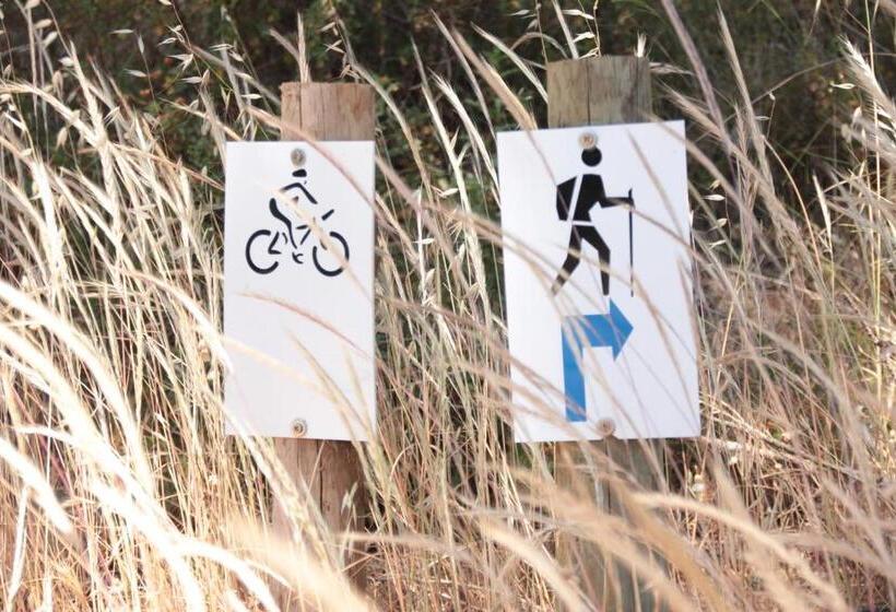 فندق Casas Do Rio Sado Sado River Country Retreat