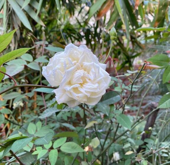 Hotel Trang An Moon Garden Homestay