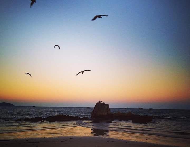 旅馆 Pousada Dona Quiteria