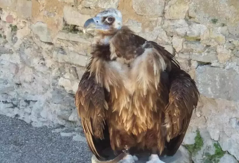 Lomakeskus Robinson Crusoe