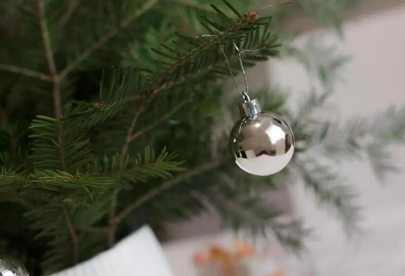 Apart Hotel Rishelye