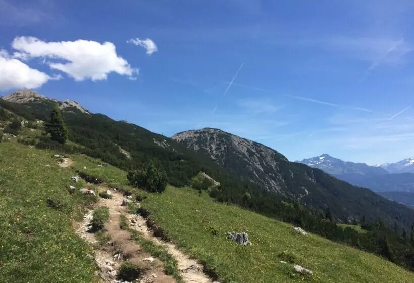 Bed and Breakfast Pension Aschlandhof