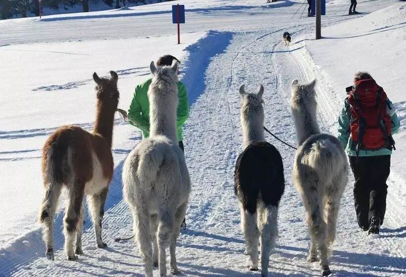 Bed and Breakfast Pension Aschlandhof