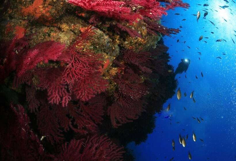 Casa Murina Hôtel Demeure Ecologique