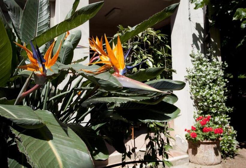 호텔 Albergo Stella