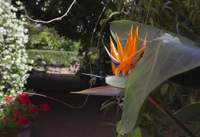 호텔 Albergo Stella